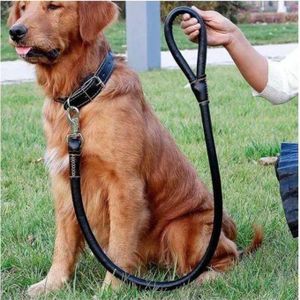 Harnais Tour De Poitrail + Laisse Pour Petit Chien /Chiot BG
