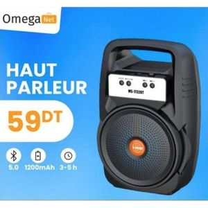 Haut-parleur Enceinte Audio Bluetooth Portable Rechargeable