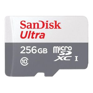 SanDisk carte mémoire 256GB MicroSD - Class 10