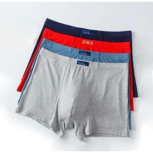 3 Chocotos / Culotte Boxer Coton Homme 