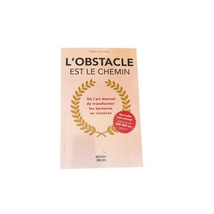 L'Obstacle est le Chemin – Ryan Holiday – Développement Personnel