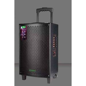 Leadder  Bluetooth Trolley Speaker SP-803 - 1 Micro - BT/USB/FM - 40W