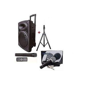  Enceinte Bluetooth Portable D 12" + 2 Micro +pieds