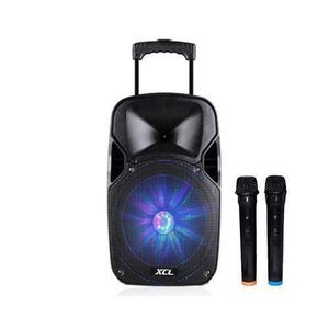 Jerry Baffle Professionel Bluetooth Sans Fil - Avec 2 Micro- Noir