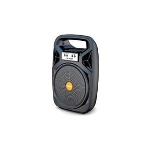 Puissant Haut-parleur Audio Bluetooth Portable Rechargeable