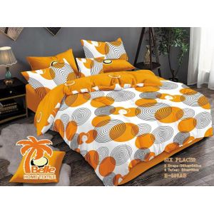 Belle Lot de 2 Draps et 4Taies - Confort et Élégance pour Lit 3 Places
