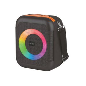 ENCEINTE PORTABLE WUF-W56  30W
