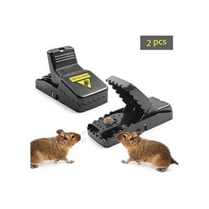Lot De Deux Pièges à Souris (2 Pieges) VB