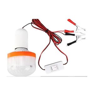 Ampoule 12 V avec pince et interrupteur, lampe de camping à batterie extensible pour marché nocturne