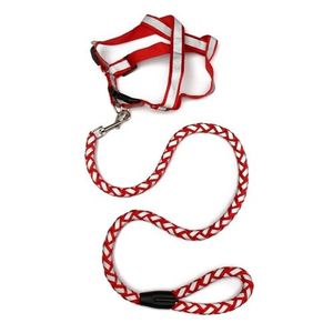 Corde De Sécurité De Chien