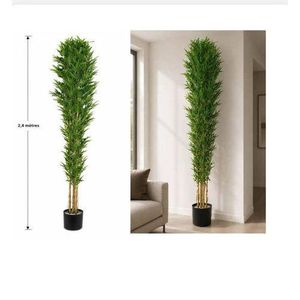 Plantes de Fleur 