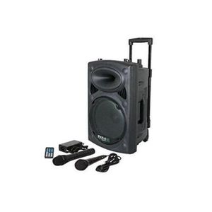 Jiepak D15 Enceinte Bluetooth Portable + 2 Micros + 1 Télécommande + 1 Chargeur - Noir