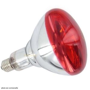 LAMPE  DE CHAUFFAGE DE POUSSIN A INFRAROUGE 100w