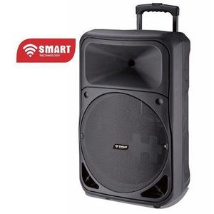 SMART TECHNOLOGY Haut-Parleur Bluetooth (STHP-1515E) Avec 2 Micros + Commande