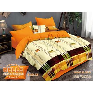 Belle Lot de 2 Draps et 2 Taies - Confort et Élégance pour Lit 3 Places  