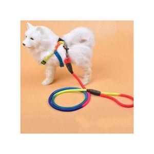 Laisse De Chien Adult