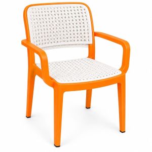 Chaise plastique avec accoudoirs – Chaise de jardin / maison