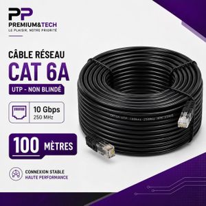 Câble Réseau Ethernet Cat6A – Longueur 100 Mètres – Très Haut Débit 10 Gbps 250MHz UTP avec Connecteurs RJ45