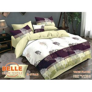 Belle Lot de 2 Draps et 2 Taies - Confort et Élégance pour Lit 3 Places