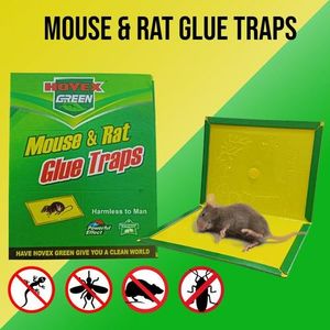 Piège à Souris Tapis Colle Lot De 2