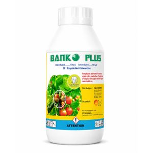 BANKO PLUS SC – Fongicide Préventif Concentré 650 g