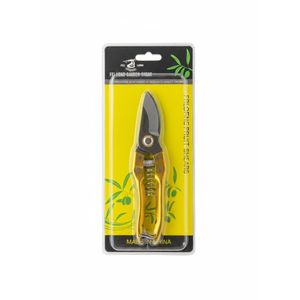 Cisailles à Fruits et Légumes en Acier Inoxydable - Lame de Précision Pointue, Poignée Ergonomique, Ressort Automatique - Pour Bonsaï, Vignes et Cueillette