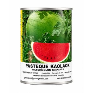Semences de Pastèque Kaolack – Graines de Pastèque à Forte Germination – Semences Maraîchères