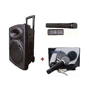 Jiepak Enceinte Bluetooh Haut-Parleur +2micro