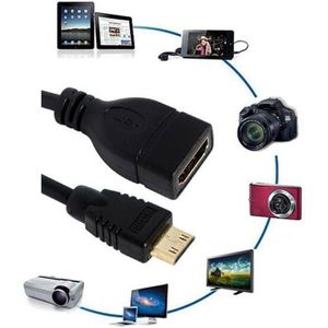 Câble adaptateur Mini HDMI mâle vers HDMI femelle HDTV