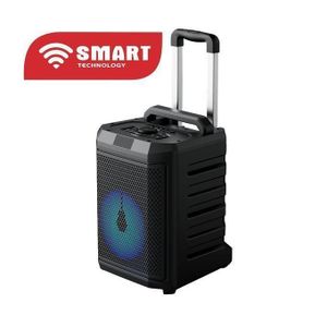 SMART TECHNOLOGY Haut-Parleur Bluetooth de Fête (STHP-8088M) Avec 2 Micros + Commande- Noir-Garantie 24 Mois.