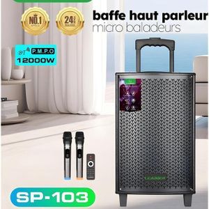 Leadder Haut Parleur Bluetooth SP-103 Garantie 12 Mois