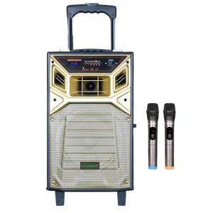 Leadder Bluetooth Trolley Speaker SP-804G - 2 Micros - BT/USB/FM - 40W