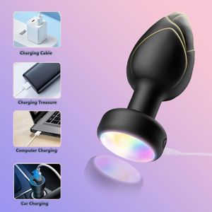 SEXTOYS Plug anal vibrant LED télécommandé en silicone NOIR