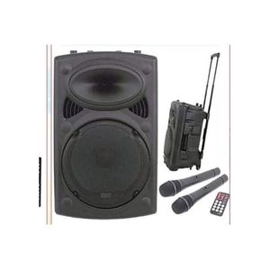 Haut Parleur Noir Performant+ 2 Micros