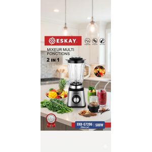 Mixeur Professionnel  eskay 