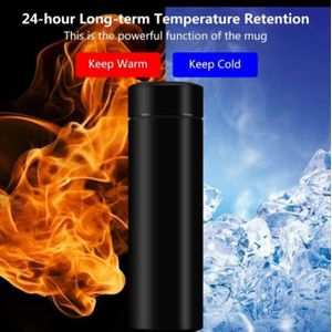 Gourde - Gourde temperature - Thermos Isotherme Intelligent Digital - Thermos Electrique - Violet