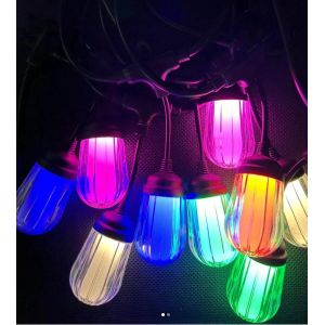 Guirlande lumineuse  5 mètres en luffa avec crochets et 10 ampoules RGB