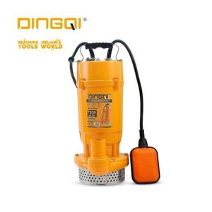 DINGQI Pompe Submersible 550 W