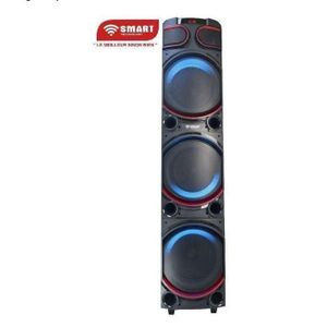 Smart Haut-Parleur Rechargeable -STHP-3100E -1000W- 3x10'' – Bluetooth – USB – AUX – 2xMicros – Télécommande – Noir –Garantie 6 Mois