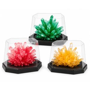 Kit de Culture de Cristaux Colorés – Expérience Scientifique Éducative pour Enfants