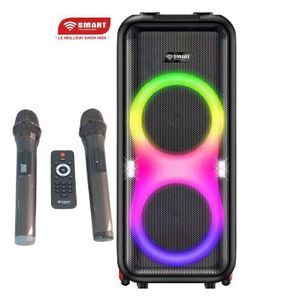 SMART TECHNOLOGY  Haut-Parleur  Rechargeable -STHP-0100E - 1000W- 2x10'' – Bluetooth – USB – AUX – 2xMicros – Télécommande – Noir –Garantie 12  Mois
