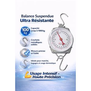 Balance Suspendue Mécanique 100 Kg – Pèse Marchandises Haute Résistance