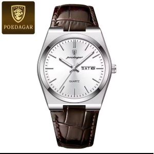 POEDAGAR Montre De Luxe Etanche Homme Avec Bracelets en Cuir-Marron