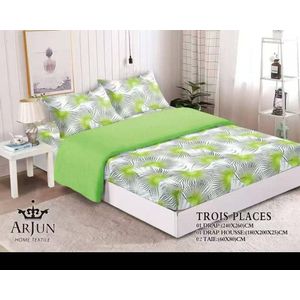 1 draps de 3 places + 1 housse + 2 taies