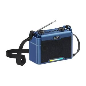 Haut-Parleur Bluetooth Portable Radio avec Antenne