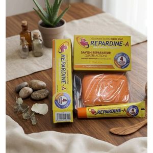 N P Gandour Kit reparadine