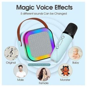 Mini haut-parleur de karaoké Bluetooth avec microphone sans fil et lumières