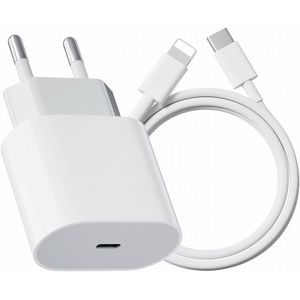 Chargeur Rapide iPhone, 35W Chargeur iPhone avec Dual Type C Port, Chargeur  iPhone Rapide avec 2 Câbles de Charge Rapide pour iPhone 14/14 Plus/14  Pro/14 Pro Max/13/12/11, Chargeur iPhone USB C 