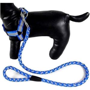 Magnifique Harnais Tour De Poitrail + Laisse Pour Chien /Chiot