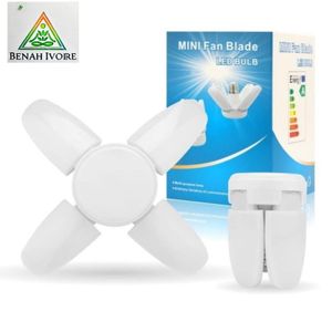 Ampoule étoile B22